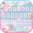 程序图标：Softmemories Keyboard The…
