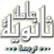 Programikonen: Translation for secondary