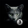 程序图标：Find A Cat 3