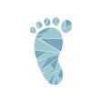 Ícone do programa: Footsteps: Bible Tracker