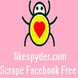 프로그램 아이콘: likespyder