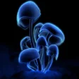 رمز البرنامج: 3D HD Wallpapers