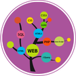 プログラムのアイコン：Learn Web Development