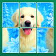 ไอคอนของโปรแกรม: Jigblock: Solitaire Puzzl…
