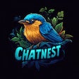 Programikonen: ChatNest