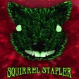 Programın simgesi: Squirrel Stapler