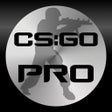 程序图标：Pro Guide for CSGO