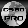 Pro Guide for CSGO
