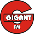 ไอคอนของโปรแกรม: Gigant FM
