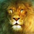 Icon of program: Lion King Wallpaper