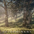 프로그램 아이콘: Determinant