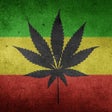 Icon of program: Strains of Weed