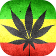 Icon of program: Strains of Weed