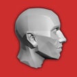 Programikon: Head Study
