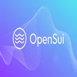 Icoon van programma: OpenSui Wallet