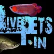 Programikonen: LIVE PETS - Buy aquarium …