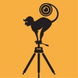 Ikona programu: Photographer On Demand