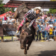程序图标：Rodeo Wallpapers 2023 HD …