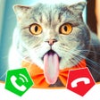 أيقونة البرنامج: Call Cat 2