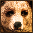 Programikonen: Ultimate Bear Simulator
