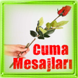 プログラムのアイコン：Cuma Mesajları 2020 İNTER…