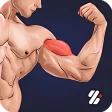 Arm Workout - Biceps  Triceps