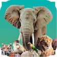 Icoon van programma: Ark Nova