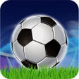 プログラムのアイコン：Gravity Soccer Unblocked