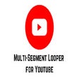 أيقونة البرنامج: Multiple Segment Looper f…