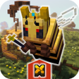 Ikon program: BlockCraft X