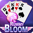 Programikonen: RummyBloom