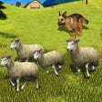 Programikonen: Sheep Shepherd Dog Simula…