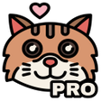 Ícone do programa: MeowVPN PRO