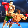 Programikon: Fists For Fighting Fx3