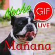 أيقونة البرنامج: Spanish Morning  Night Gi…