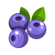 Icon of program: Fruits Flip