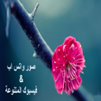 Programikonen: صور واتس اب بدون نت