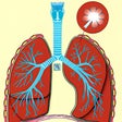 أيقونة البرنامج: Learn Medical Terminology