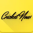 Cricket Now Update All Crick Info you need