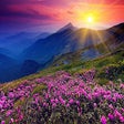 Иконка программы: Nature Scenery Wallpaper