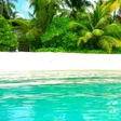 ไอคอนของโปรแกรม: Summer backgrounds