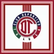 プログラムのアイコン：TOLUCA RED DEVILS MY PASS…