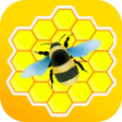 ไอคอนของโปรแกรม: Honeygain - Money App Adv…