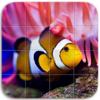 プログラムのアイコン：Marine Life Puzzle