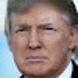 Programikonen: Diminish Trump