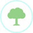 أيقونة البرنامج: Tree Page Paths