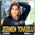 プログラムのアイコン：Sebnem Tovuzlu Music