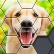 程序图标：Hexa Block Puzzle -Block …