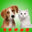 ไอคอนของโปรแกรม: Cat  dog sounds: Perfect …