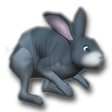 Ícone do programa: 3D Desktop Bunny Rabbits …